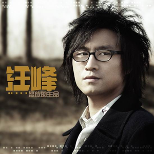 要看西村妮娜视频
