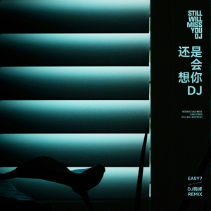 要看西村妮娜视频
