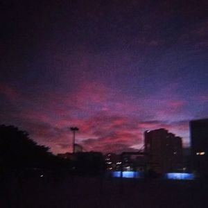 要看西村妮娜视频
