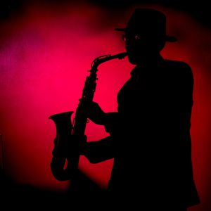 要看西村妮娜视频
