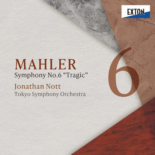 要看西村妮娜视频
